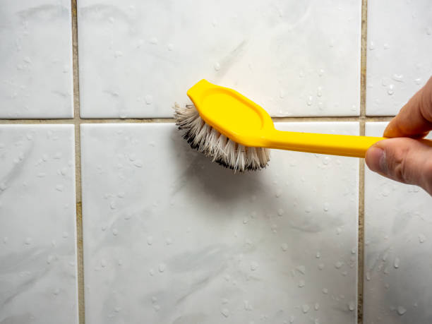 Best Attic Mold Removal  in Adairsville, GA