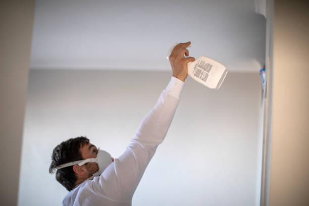 Best Local Mold Removal Service  in Adairsville, GA