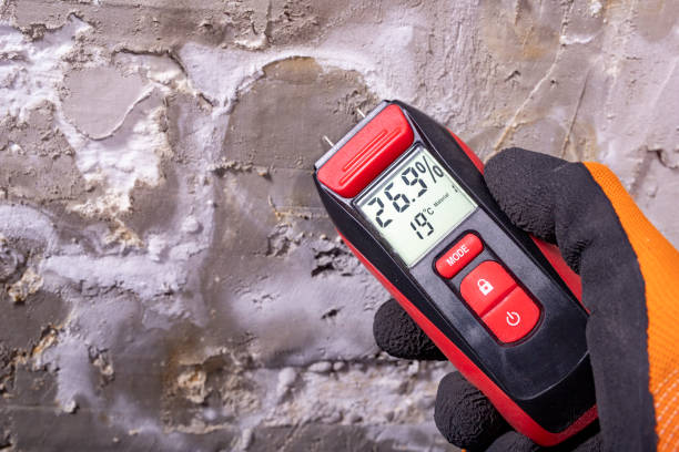 Best Professional Mold Removal  in Adairsville, GA