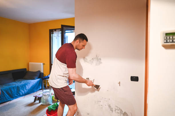 Trusted Adairsville, GA Mold Removal Experts